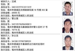 爆料四川观察人员名单最新,最新爆料揭示神秘阵容