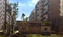 郑州微头条最新爆料电话,电话事件引发关注，真相即将揭晓！