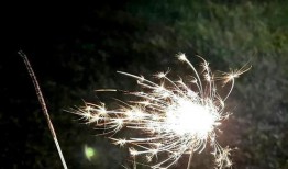 翁青雅最新爆料,揭秘娱乐圈惊人内幕！
