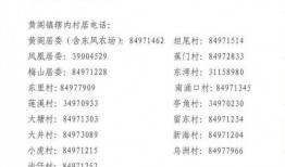 登封市最新爆料消息公布,揭秘背后惊人真相