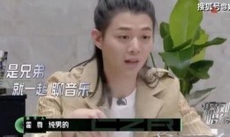 歌手平安最新爆料,新歌背后的故事与灵感来源